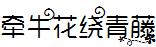 牵牛花绕青藤