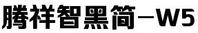 腾祥智黑简-W5