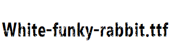 White-funky-rabbit