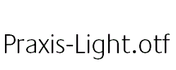 Praxis-Light