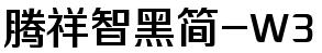 腾祥智黑简-W3
