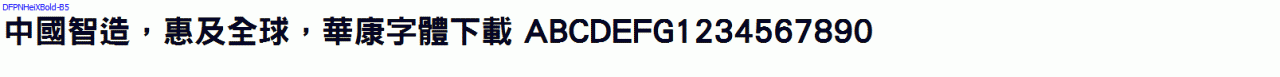 DFPNHeiXBold-B5