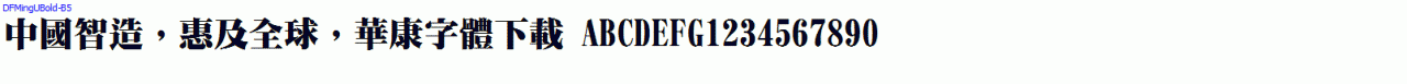 DFMingUBold-B5