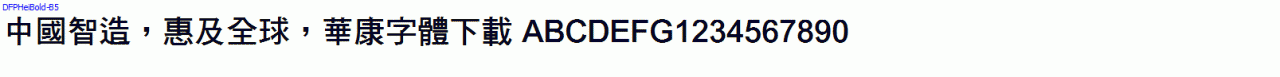 DFPHeiBold-B5