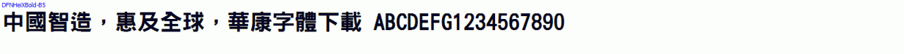 DFNHeiXBold-B5