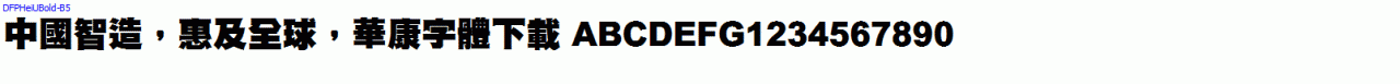 DFPHeiUBold-B5