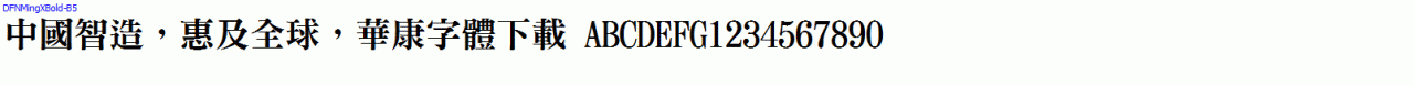 DFNMingXBold-B5