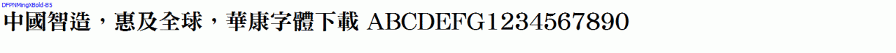 DFPNMingXBold-B5