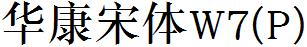华康宋体W7(P)