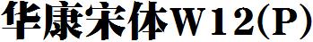 华康宋体W12(P)
