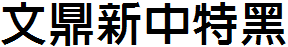 文鼎新中特黑