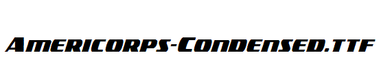 Americorps-Condensed