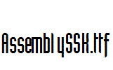 AssemblySSK