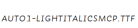 Auto1-LightItalicSmCp