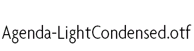 Agenda-LightCondensed
