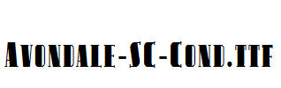 Avondale-SC-Cond