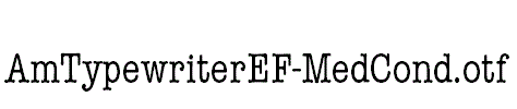 AmTypewriterEF-MedCond
