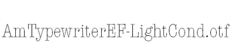 AmTypewriterEF-LightCond