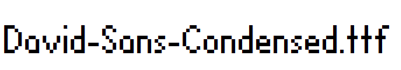 David-Sans-Condensed