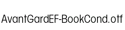 AvantGardEF-BookCond