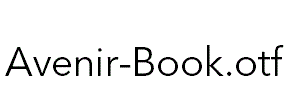 Avenir-Book