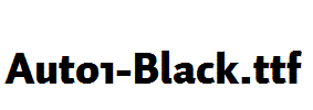 Auto1-Black