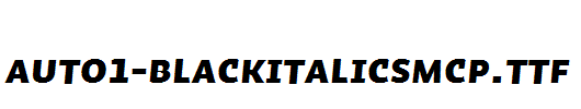 Auto1-BlackItalicSmCp