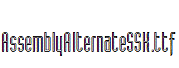 AssemblyAlternateSSK
