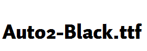 Auto2-Black