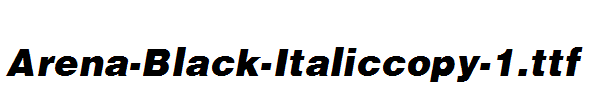 Arena-Black-Italiccopy-1