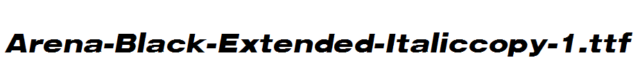 Arena-Black-Extended-Italiccopy-1