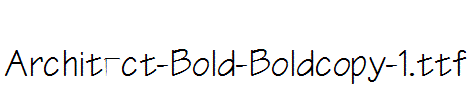 Architect-Bold-Boldcopy-1