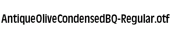 AntiqueOliveCondensedBQ-Regular