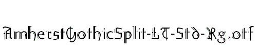 AmherstGothicSplit-LT-Std-Rg