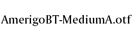 AmerigoBT-MediumA