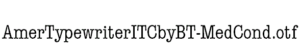 AmerTypewriterITCbyBT-MedCond