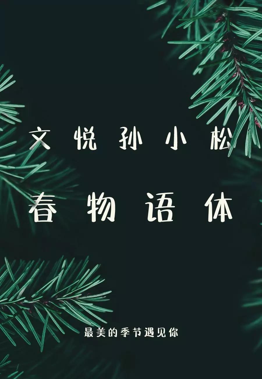 新字下载-文悦孙小松春物语体