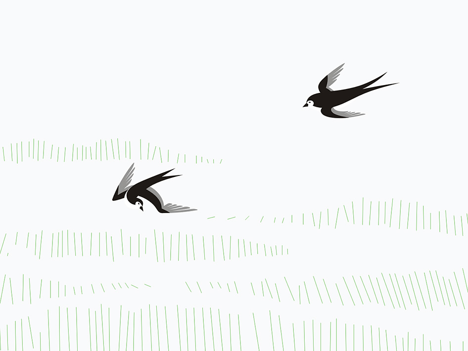 嘉竹绿茶园标志设计字体设计赏析