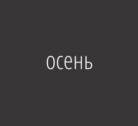 字体厂商介绍：义启字库