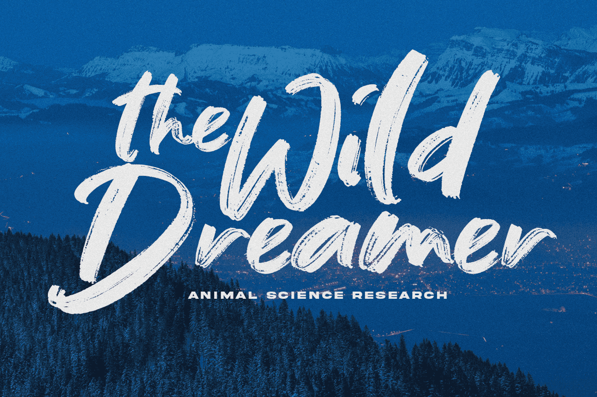 170款手写风格英文字体打包下载