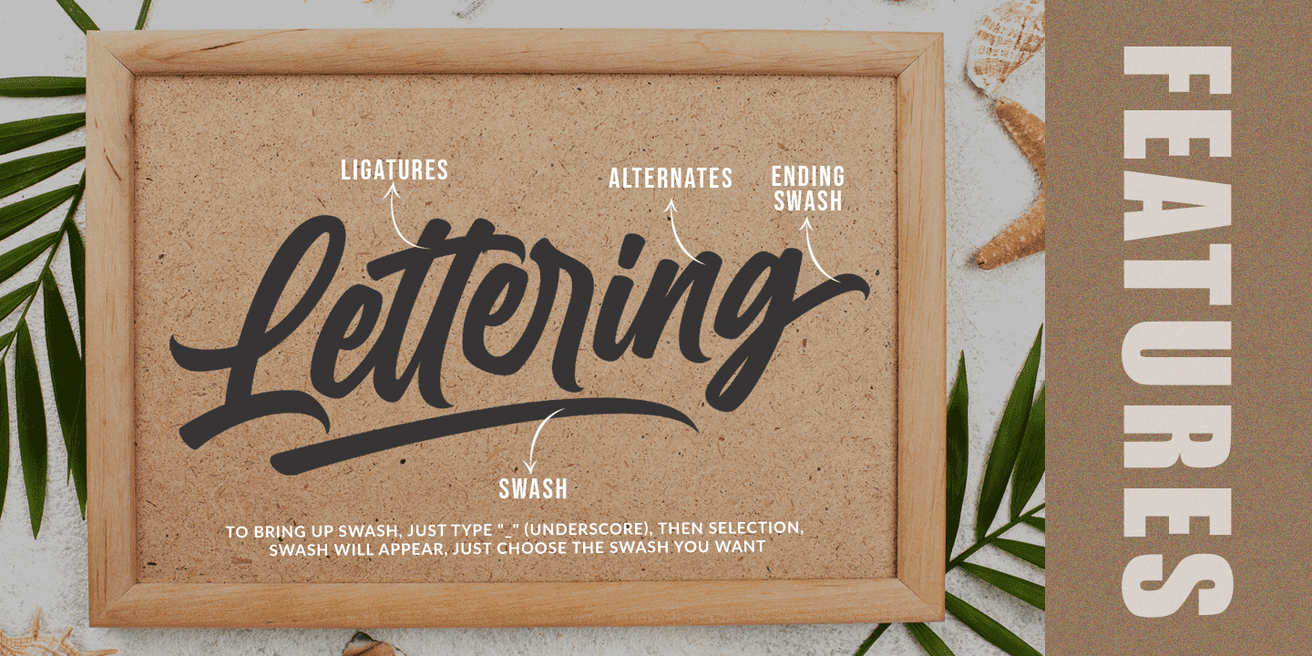 170款手写风格英文字体打包下载