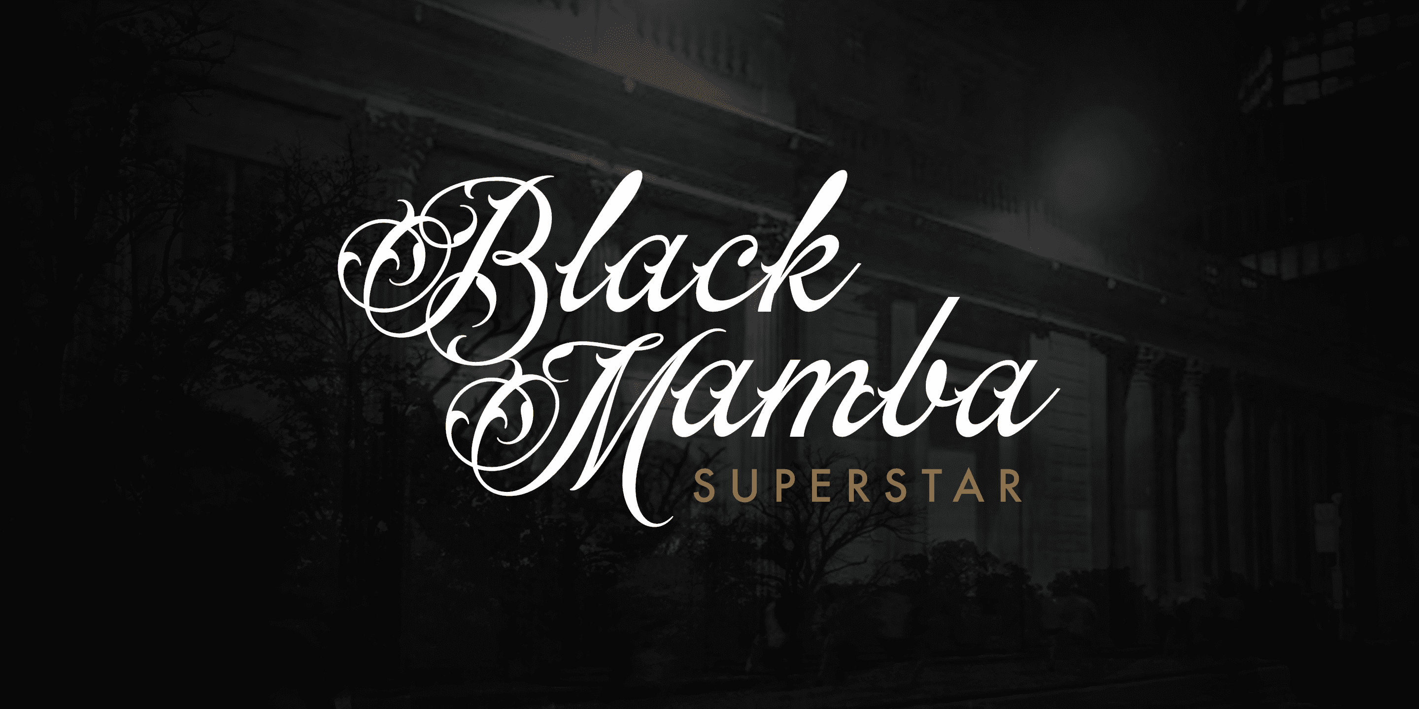 170款手写风格英文字体打包下载