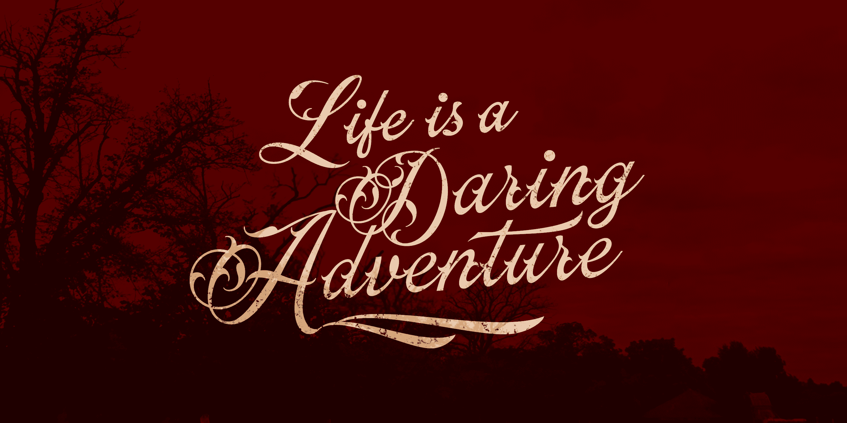 170款手写风格英文字体打包下载