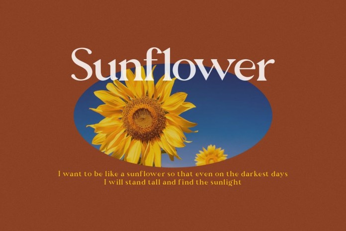 Dalgona Candy 字体下载