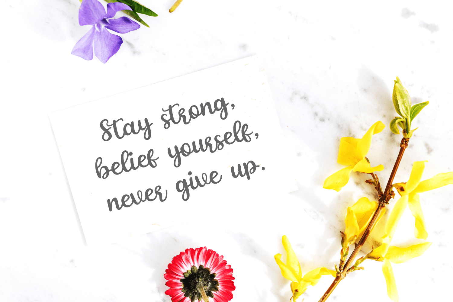 The Rambutan Script 字体下载