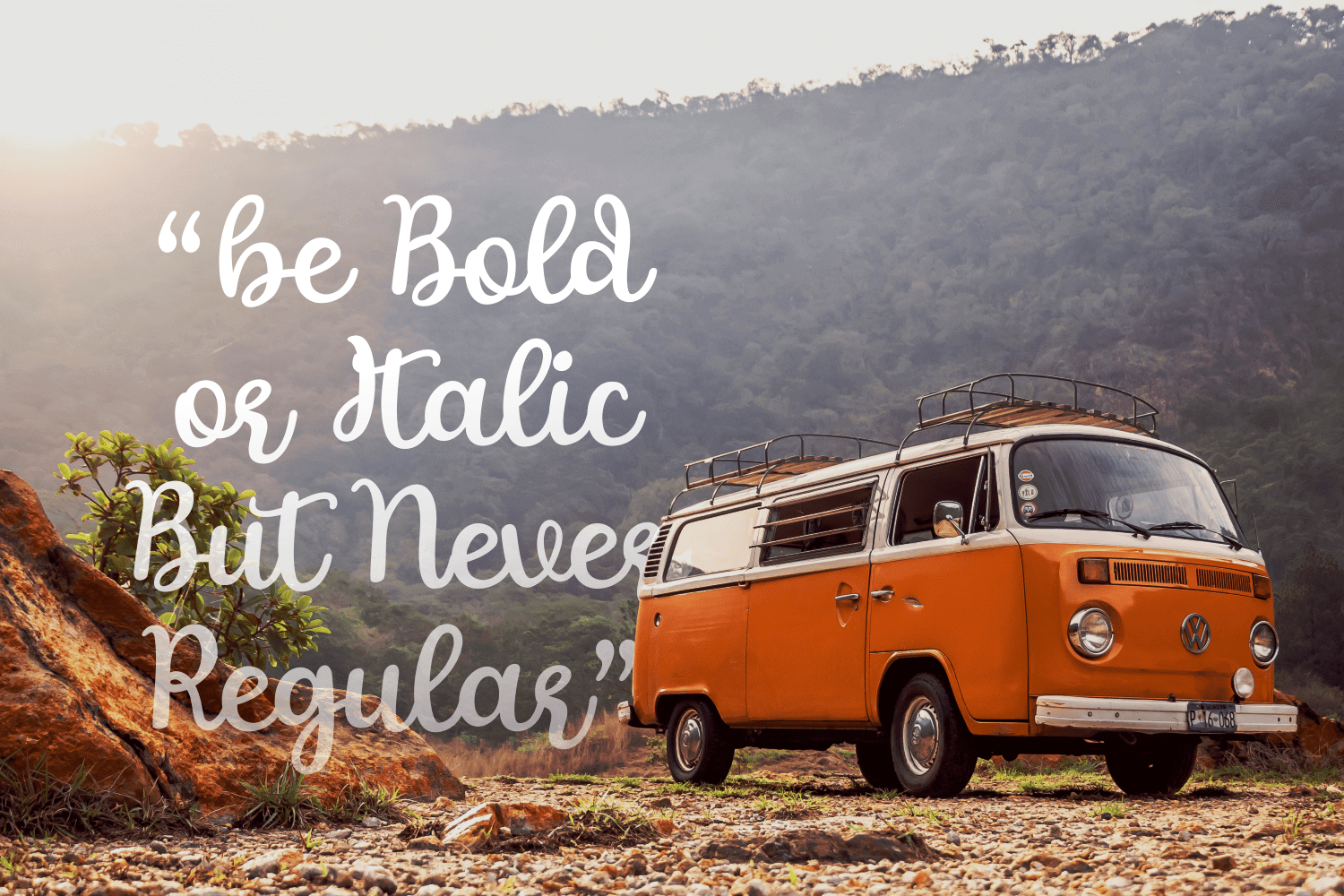 The Rambutan Script 字体下载