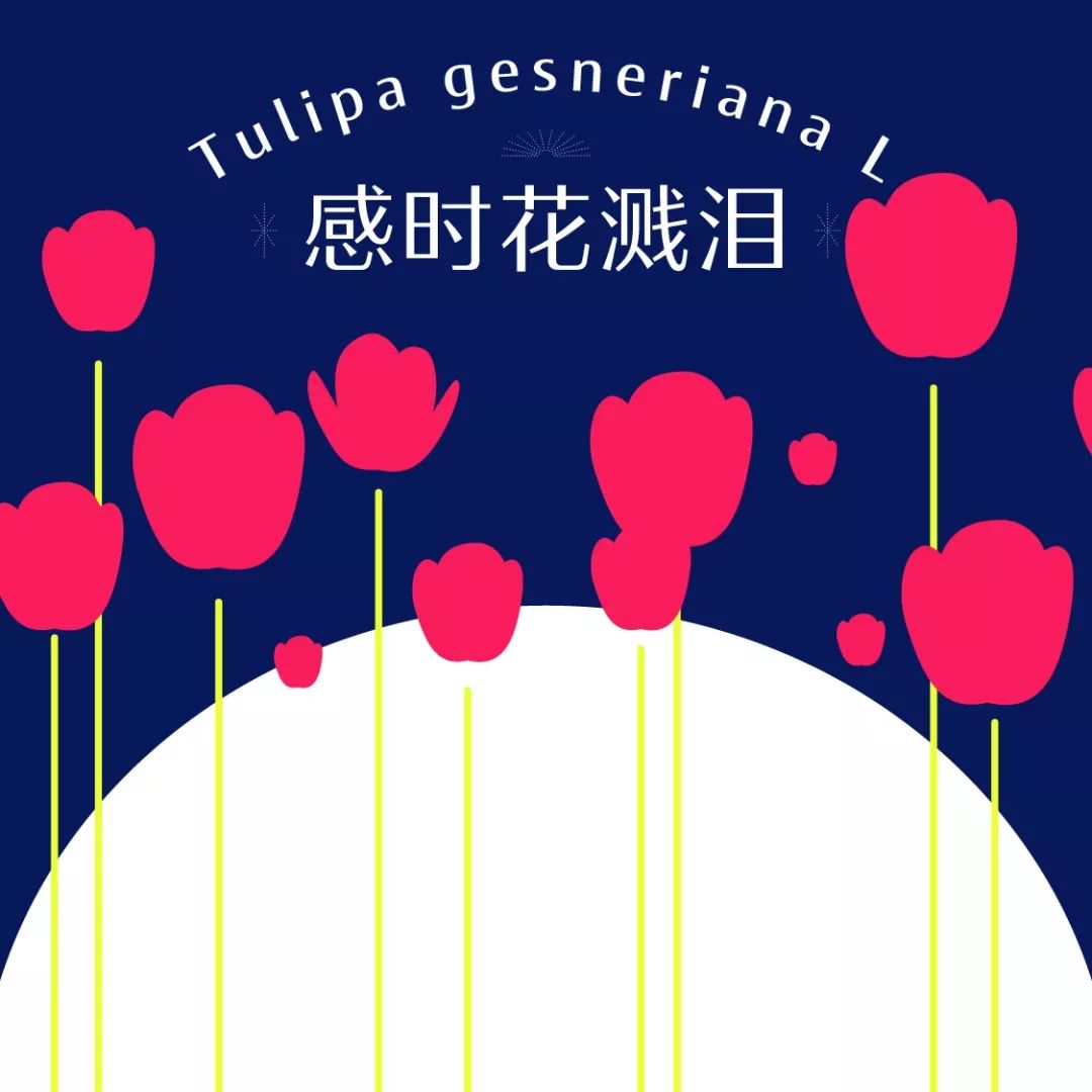 15744049145dd7833270d2a5.26240590