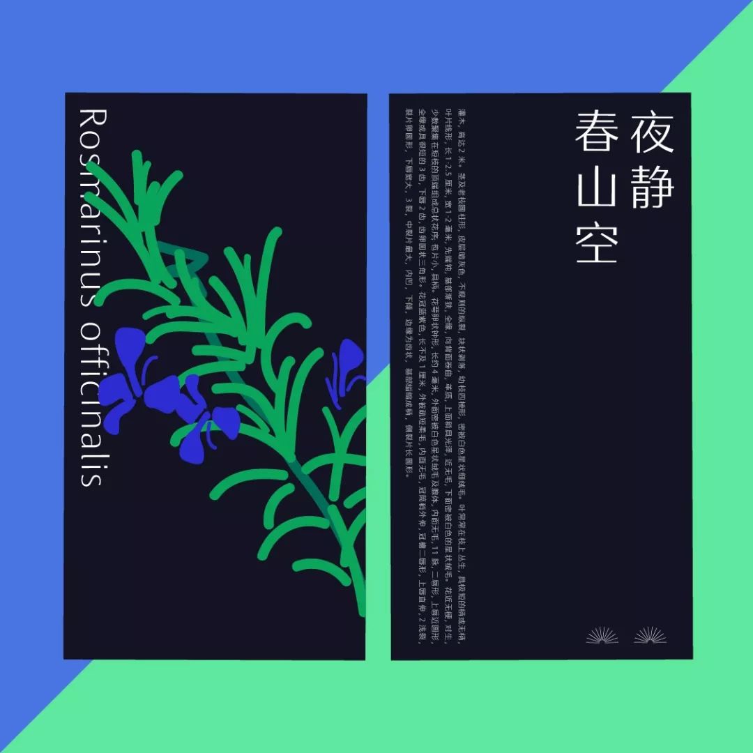 15744049145dd78332abd220.73986271-1