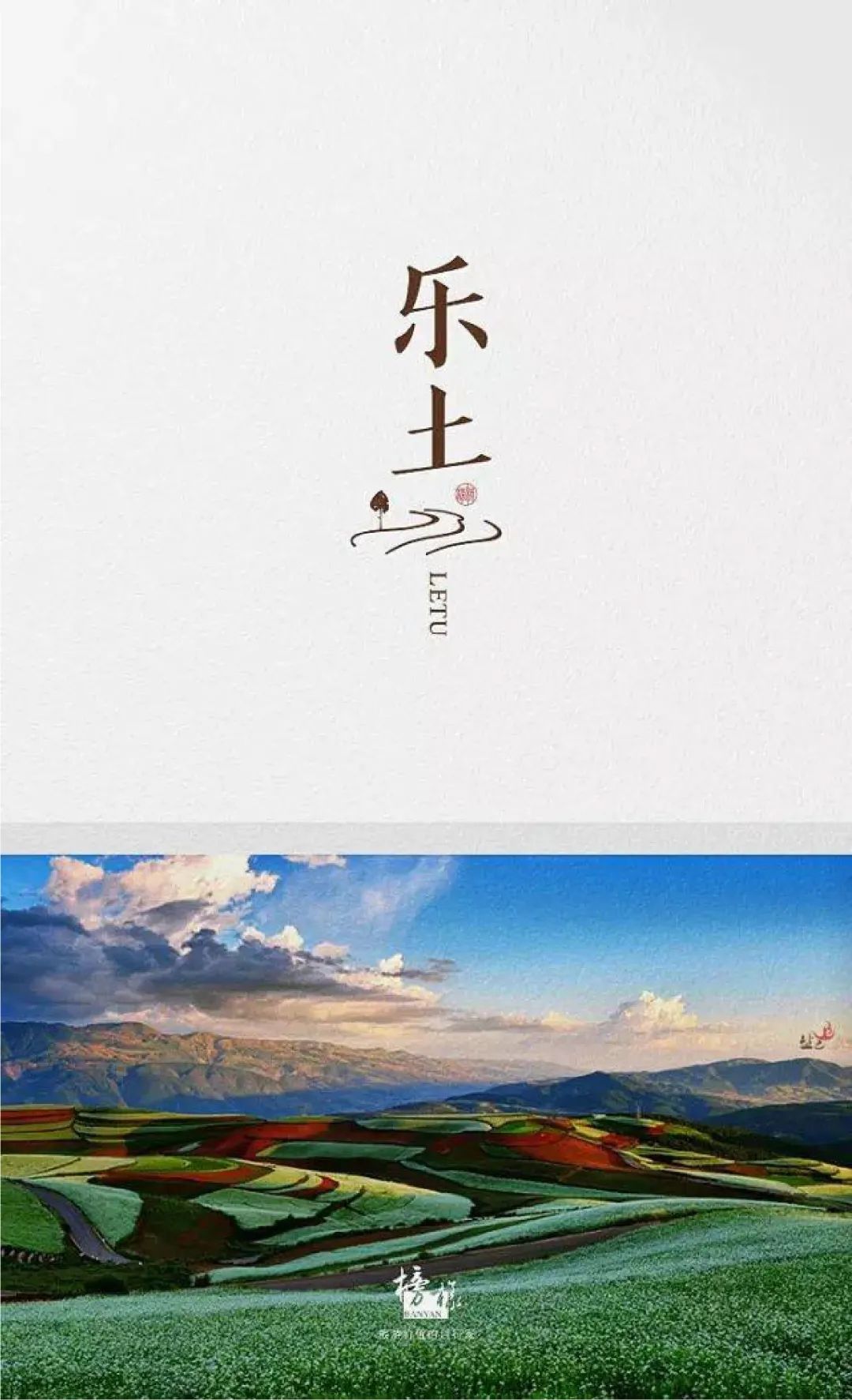 163815480961a44239251ac9.95310888