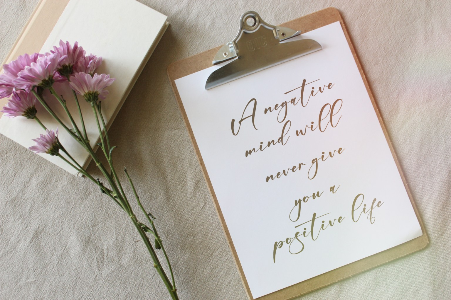 Amstera 字体下载